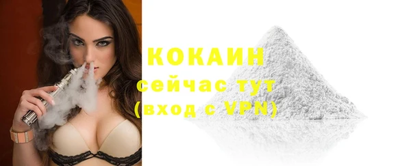 дмт Абаза