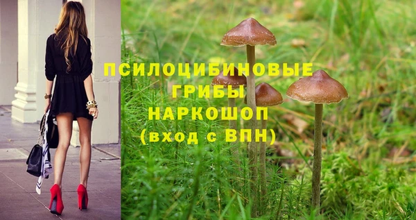 гидра Абдулино