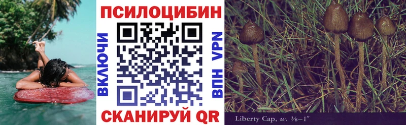 Псилоцибиновые грибы MAGIC MUSHROOMS  сколько стоит  Данилов 